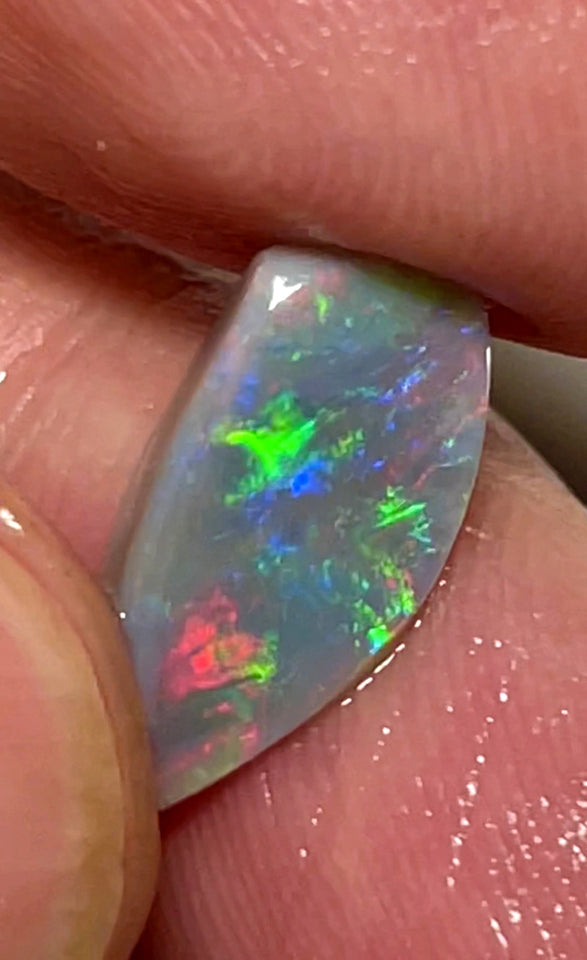 Lightning Ridge Rough / Rub Dark Base opal Miners Bench® 2.15cts Gorgeous Bright Reds & Multifires  15x7x2mm WAB64