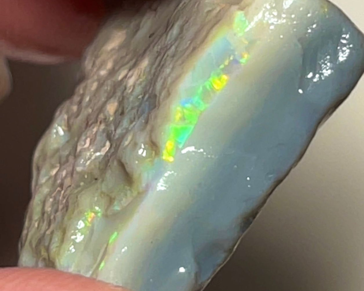 Lightning Ridge Rough Opal 26cts Big size Dark Seam Bright Multicolour to cut 26x19x7mm NSA001