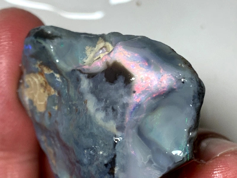 OPAL MONTH SPECIAL Lightning Ridge Huge Dark Rough Seam Opal Single 123cts Stunning Pink/Blue fires 45x30x20mm WSZ79