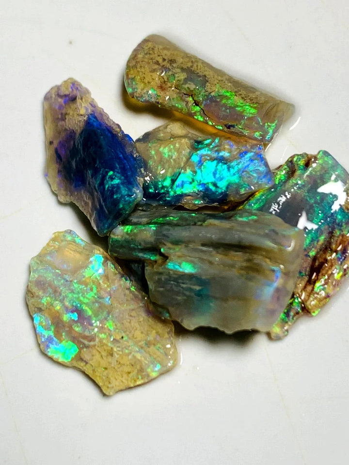 Opal Fever Mate Auction