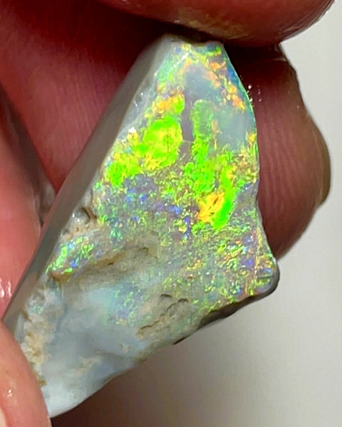 Lightning Ridge Rough / Rub Dark base Seam opal 11cts  Vibrant Bright Gorgeous Array of Multifires 25x14x6mm WAE5