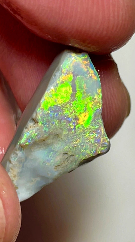 Lightning Ridge Rough / Rub Dark base Seam opal 11cts  Vibrant Bright Gorgeous Array of Multifires 25x14x6mm WAE5