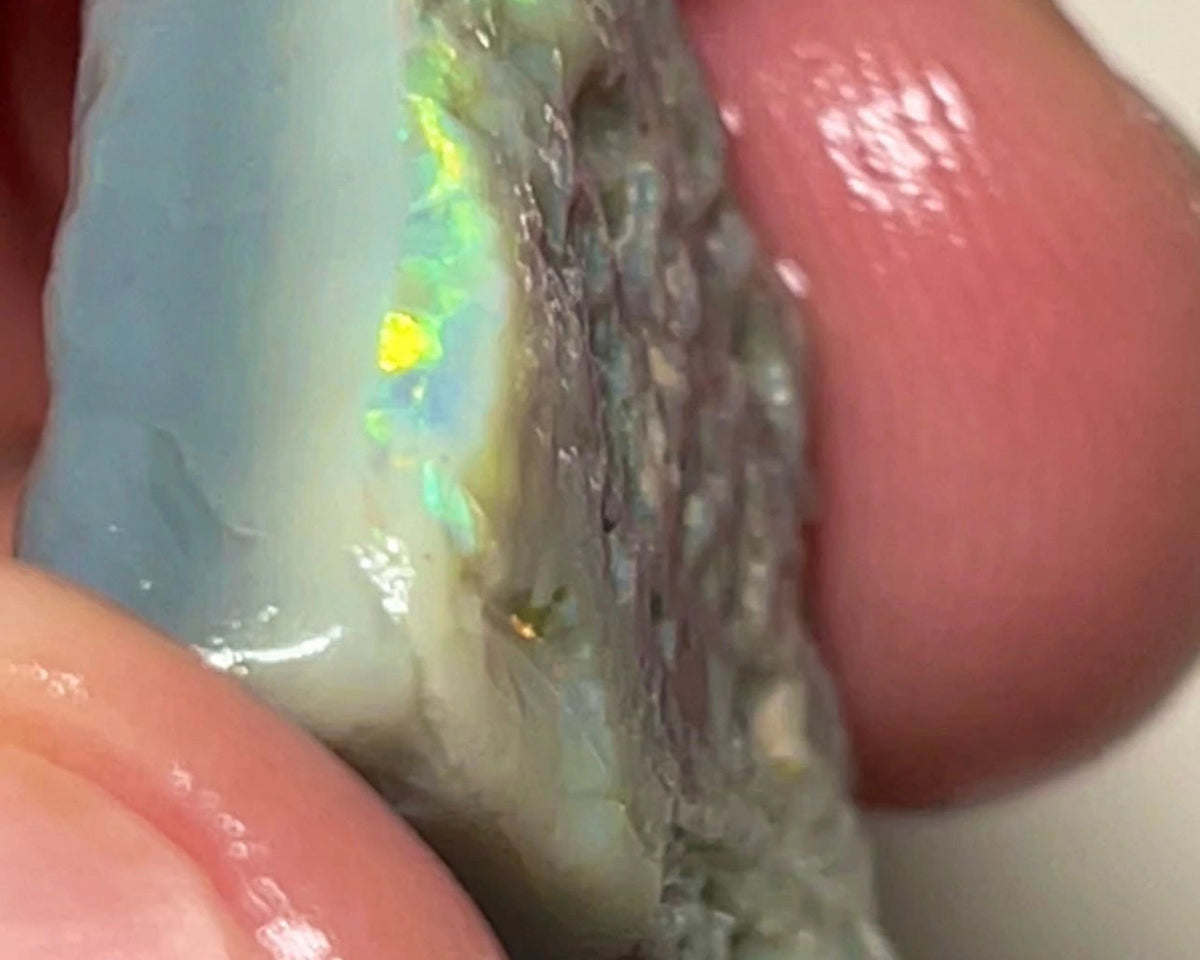 Lightning Ridge Rough Opal 26cts Big size Dark Seam Bright Multicolour to cut 26x19x7mm NSA001