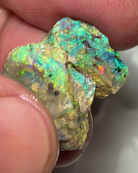 Exotic Very Unique Knobby opal formation Split 14.25cts Rough Full of Bright Multifires 18x13x7mm 15x12x6mm Auction112