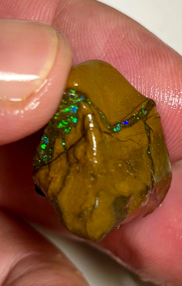 Queensland Boulder Matrix opal 50cts rough Winton Amazing very Unique & Bright colour in veins  20x20x15mm WAD54