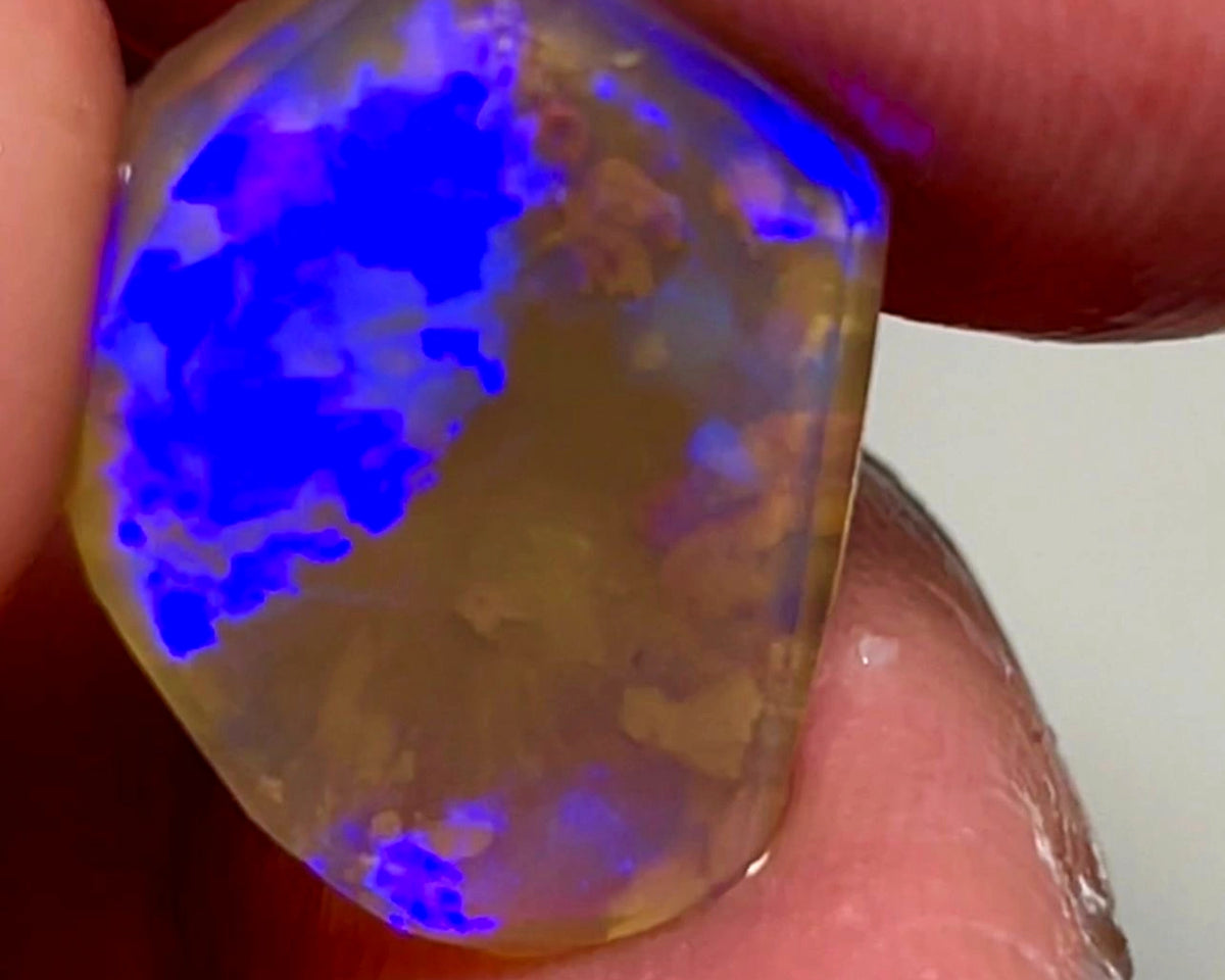 Lightning Ridge Opal Dark Crystal Knobby Rough Rub 6.75cts Broad Flash Pattern Gorgeous Bright Blues 19x15x4mm 1024