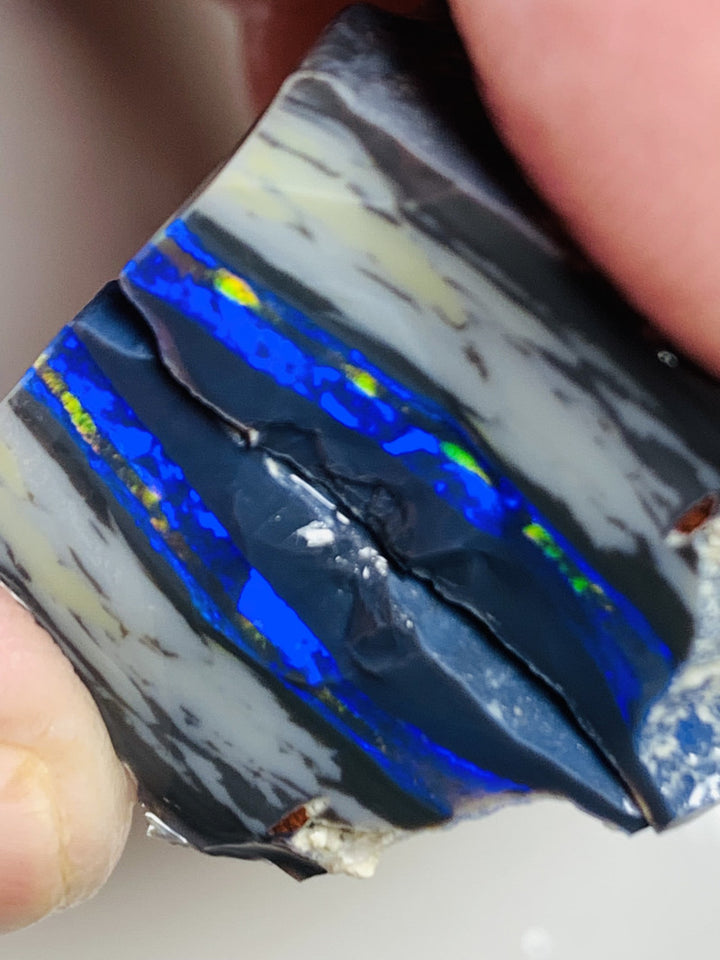 Lightning Ridge Rough Mulga® Black Opal Seam Split 27cts Exotic & Stunning Cutters Gorgeous Multifire bars 25x13x11mm both approx WSU43