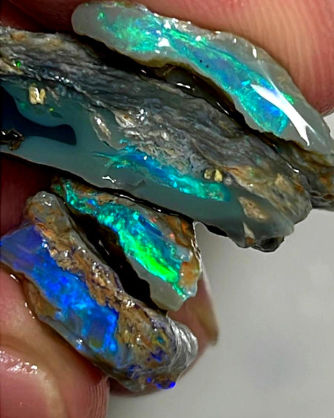 Lightning Ridge Rough Opal 24cts Stunning Stack of Black & Dark base Seams to cut Gorgeous Bright Multicolours 24x11x7mm to 13x11x4mm WAE35