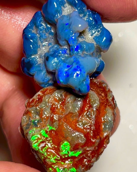 Pair of nice sized Opal formations from Lightning Ridge 42.00cts Bright Blue & Green fires  23x22x14 & 29x19x7 mm NSW047