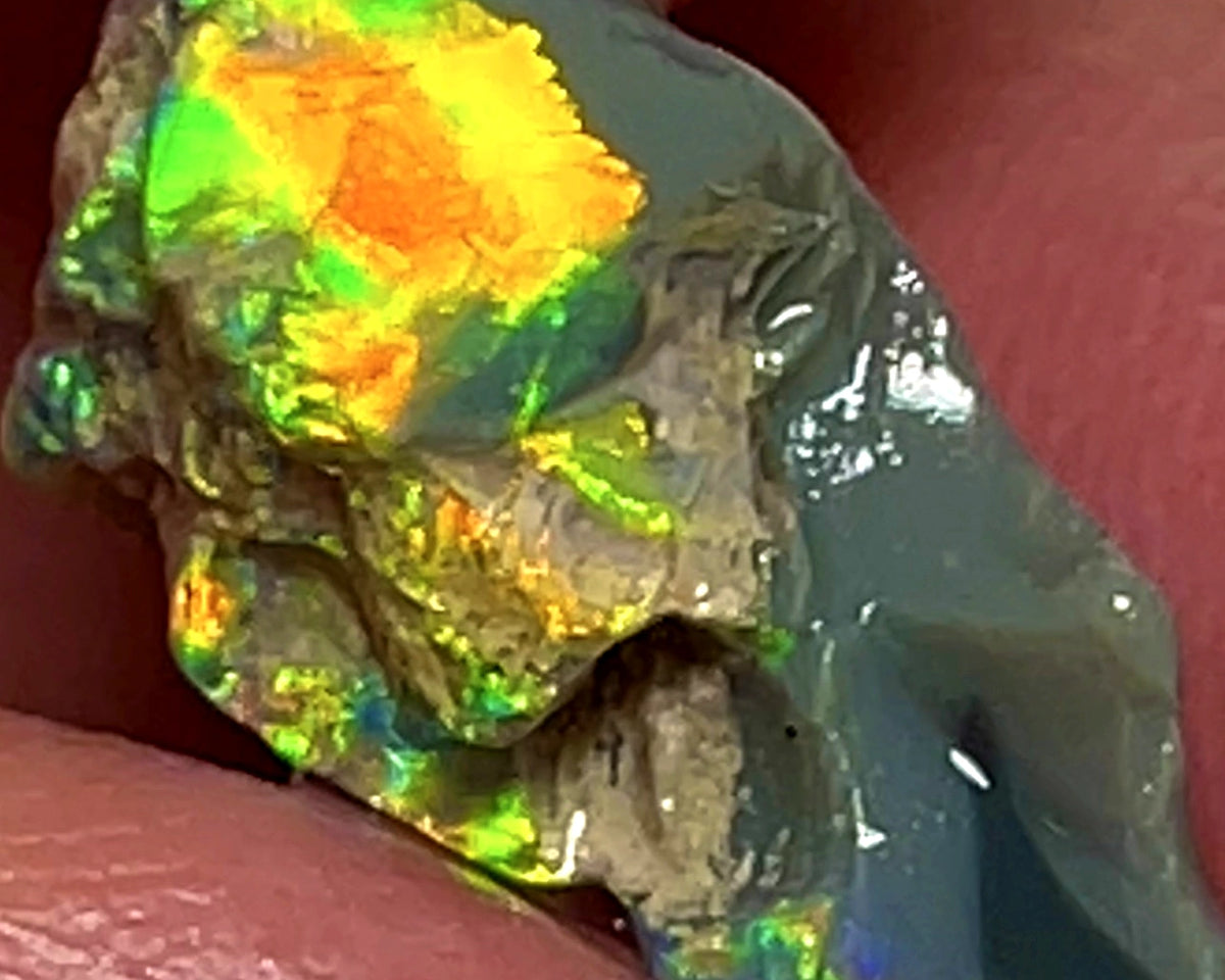 Lightning Ridge Rough Opal 5.25cts Dark Base Carvers Candy High Grade Bright Orange/Yellow Multifires 17x12x8mm WAE2