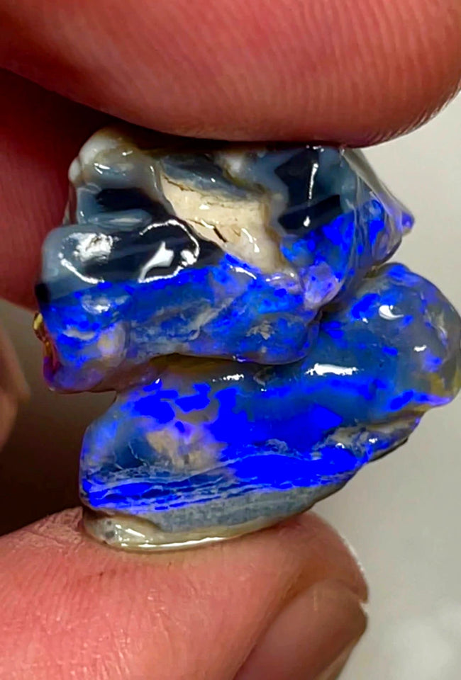 Lightning Ridge Rough Opal 24cts Cutters Black base Seams Gorgeous Bright fires in bars to cut 20x11x10mm & 19x14x8mm WAC26