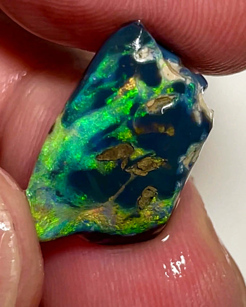 Lightning Ridge Opal Rough/Rub Black Specimen From the Miners Bench® 9.5cts Gorgeous Bright Multi fires 20x12x7mm WAC51