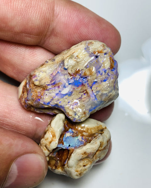 NO RESERVE Lightning Ridge Rough Opal 110cts Opalised wood fossil formations with host rock colourful rough suit being carved Potential 37x25x11mm & 25x22x10mm WSS12