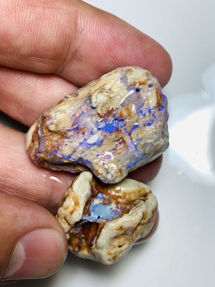 NO RESERVE Lightning Ridge Rough Opal 110cts Opalised wood fossil formations with host rock colourful rough suit being carved Potential 37x25x11mm & 25x22x10mm WSS12