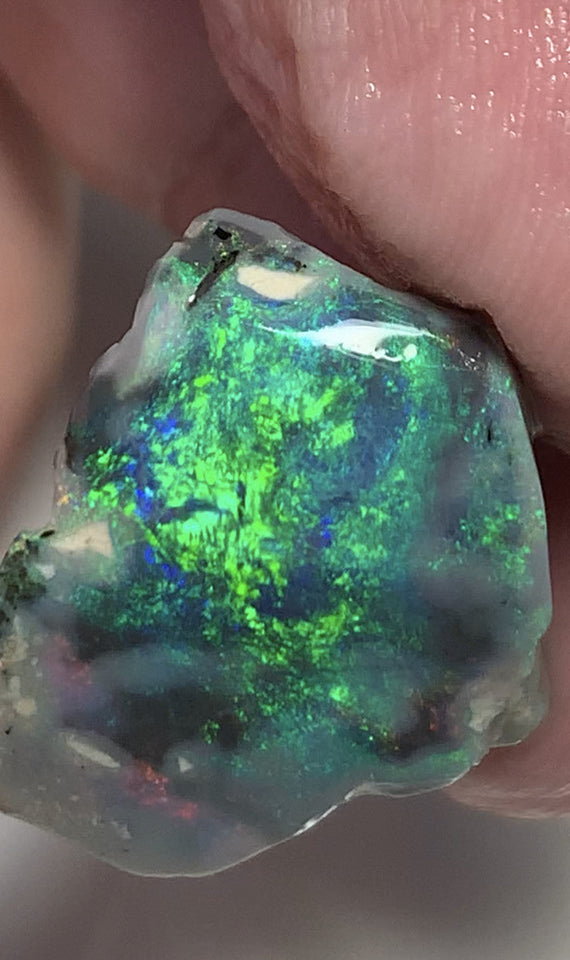 Opal Fever Mate Auction