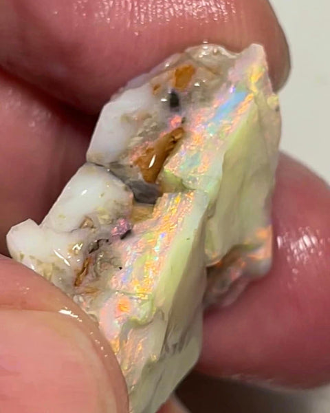 Lightning Ridge Rough Opal 33cts Big Pair Stunning Light/Dark Base Cutters Candy® High Grade Bright Multifires 22x14x12mm & 17x14x11mm MFB28