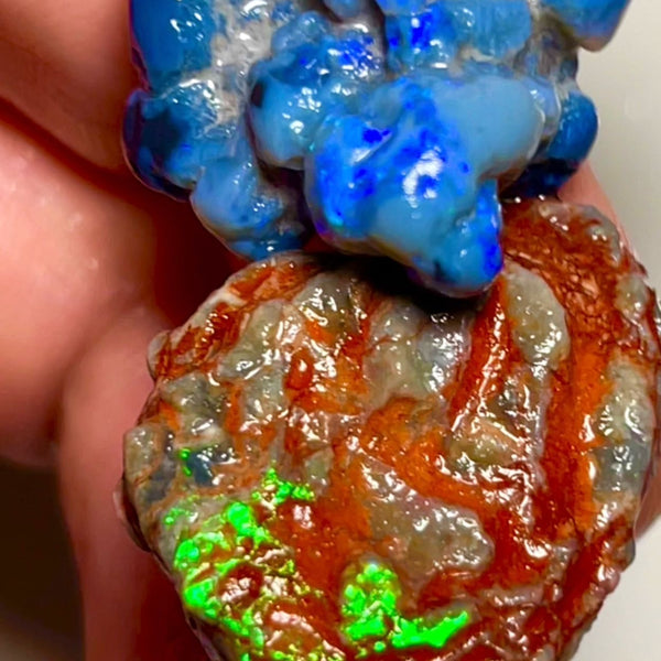 Pair of nice sized Opal formations from Lightning Ridge 42.00cts Bright Blue & Green fires  23x22x14 & 29x19x7 mm NSW047