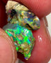 Lightning Ridge Rough Opal 8.75cts Dark Crystal Fossil Formations showing nice Reds &  Bright Multicolours 14x12x4 & 13x10x6 mm WAE54