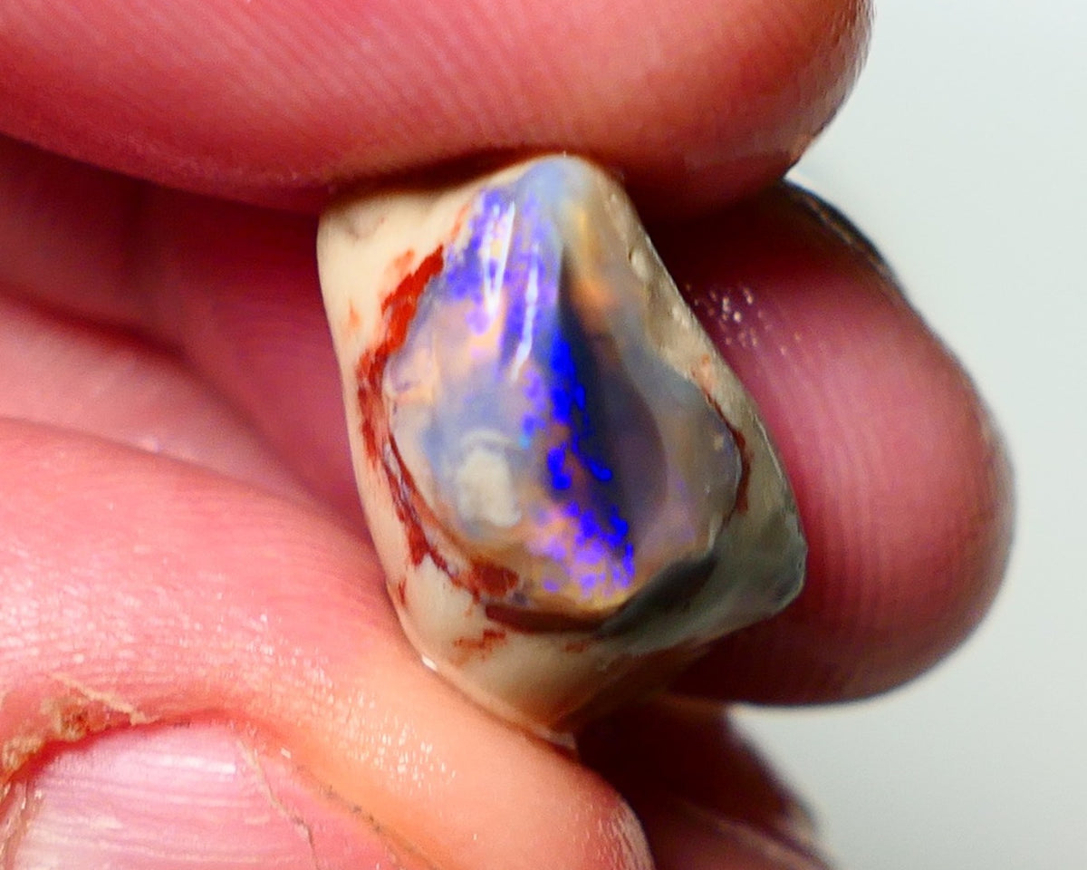 Lightning Ridge Knobby Opal Rough 11.50cts showing nice exposed blues 17x13x10mm A1501