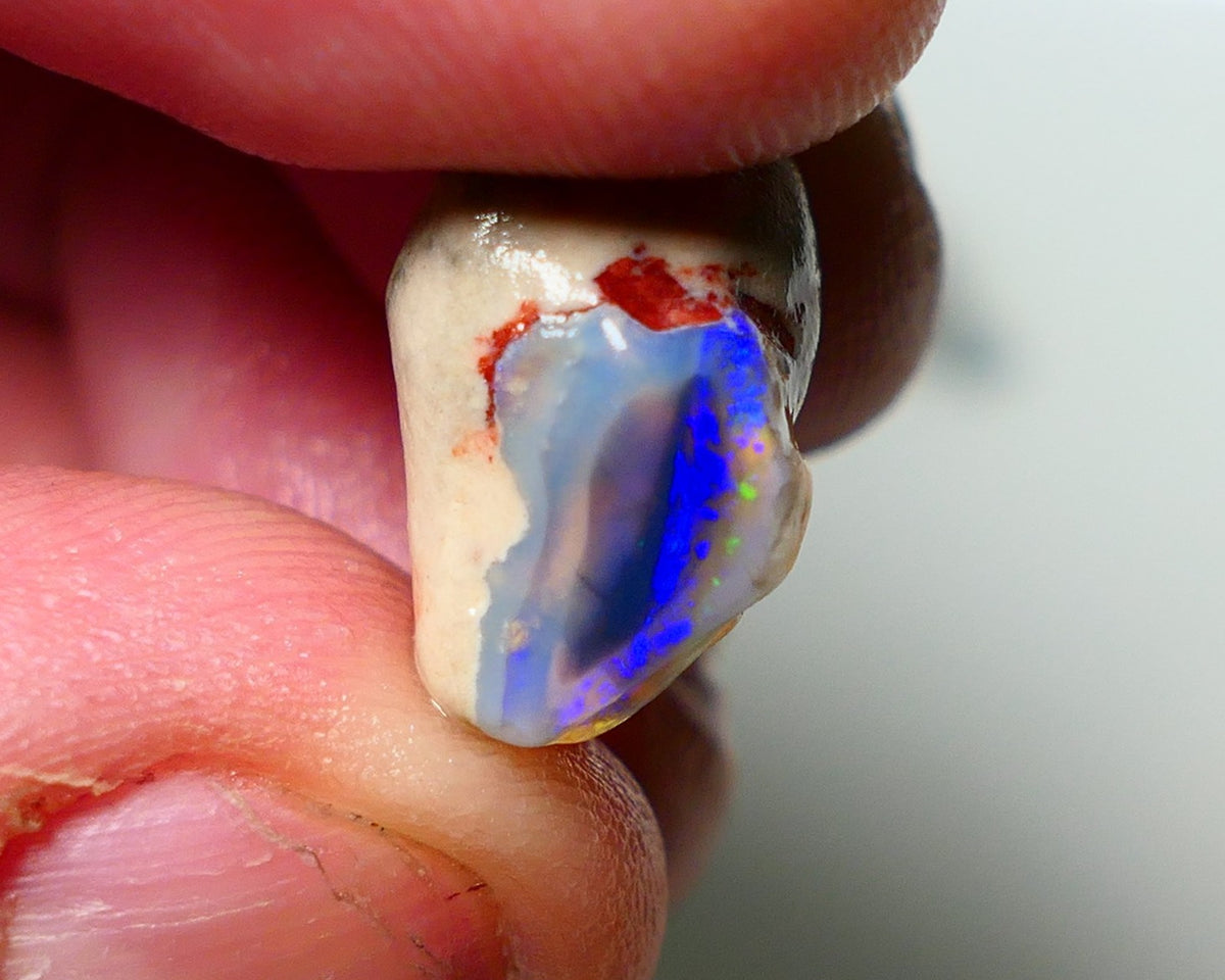 Lightning Ridge Knobby Opal Rough 11.50cts showing nice exposed blues 17x13x10mm A1501