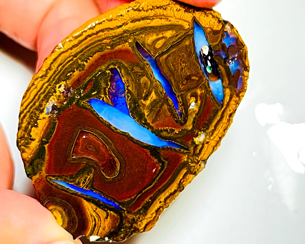 Queensland Boulder opal rough 220cts Half of a Huge Yowah Nut Amazing very Unique pattern & colour in veins  49x38x23mm WAD60