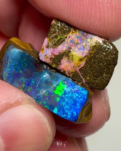 XMAS THANK YOU AUCTION2 Stunning Gemmy Winton Boulder Opal 20cts Rough rubs Bright & Vibrant fires 20x7x5mm to 14x8x4mm NSA009