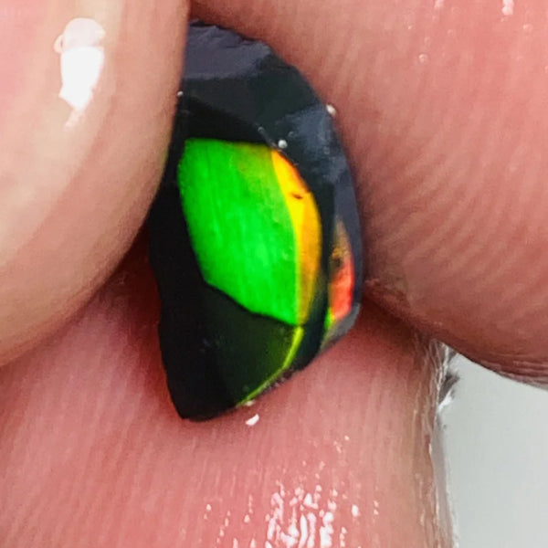 Lightning Ridge Rough / Rub Black Seam opal Miners Bench®  Baby Harlequin 1.45cts Exotic Super Bright Vibrant & Vivid Multifires 12x6x2mm WSY92