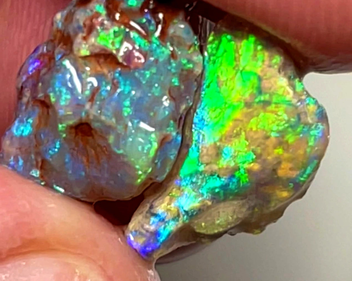 Lightning Ridge 8cts Bright pair of gorgeous Dark base Crystal knobby Opal rough to cut/carve Bright Multicolours 17x9x7mm & 16x7x6mm 1104
