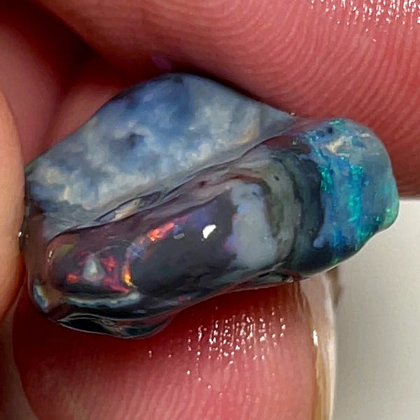 Lightning Ridge Rough Opal 11.5cts Stunning Black base Seam Gorgeous Reds Greens & Multifires in bars 20x14x5mm WAD44