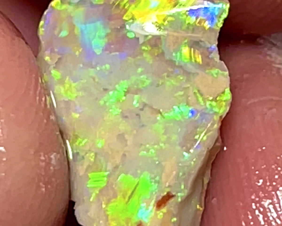 Lightning Ridge Opal Rough n Rub Single Dark Base Crystal knobby formation 3.5cts Showing very Bright Multifires 15.000 x 10.000 x 4.000 mm wae68