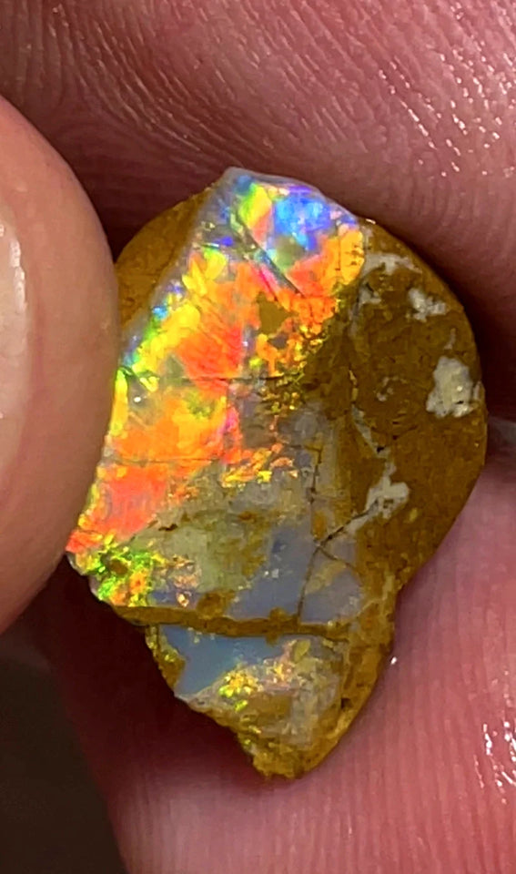 Opal Fever Mate Auction