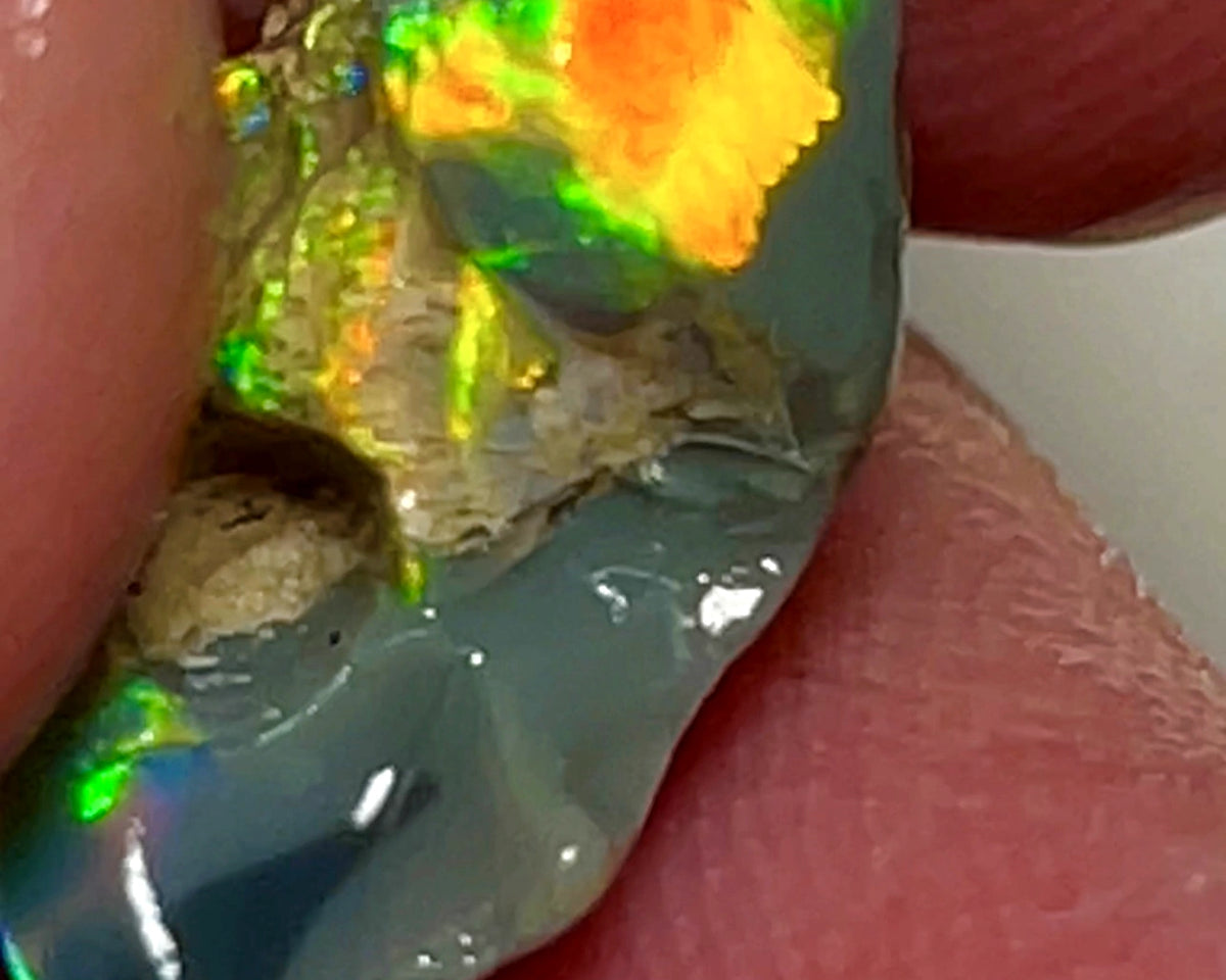 Lightning Ridge Rough Opal 5.25cts Dark Base Carvers Candy High Grade Bright Orange/Yellow Multifires 17x12x8mm WAE2