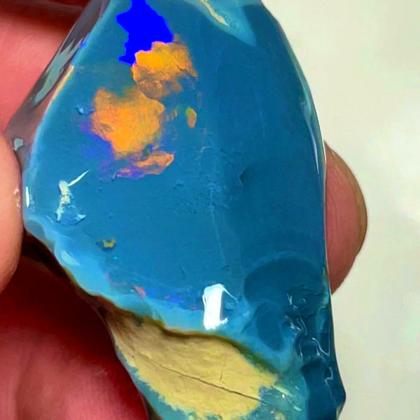 Lightning Ridge Opal Huge Rough/Rub Dark Base From the Miners Bench® 60cts Broad zones of Orange/Blue fires 39x24x12mm WAD29