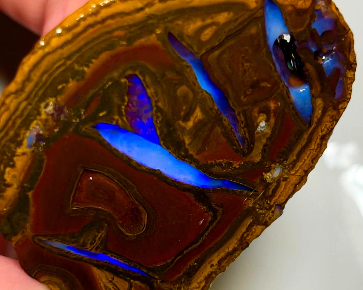 Queensland Boulder opal rough 220cts Half of a Huge Yowah Nut Amazing very Unique pattern & colour in veins  49x38x23mm WAD60