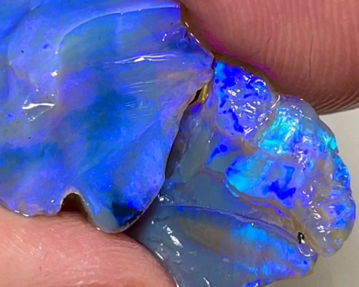 Dark Base Crystal Stunners Lightning Ridge Rough Opal 23.00cts Cutters Pair with Stunning Gorgeous Bright Blue dominant fires through out 18x15x12mm & 17x14x4mm NSW039