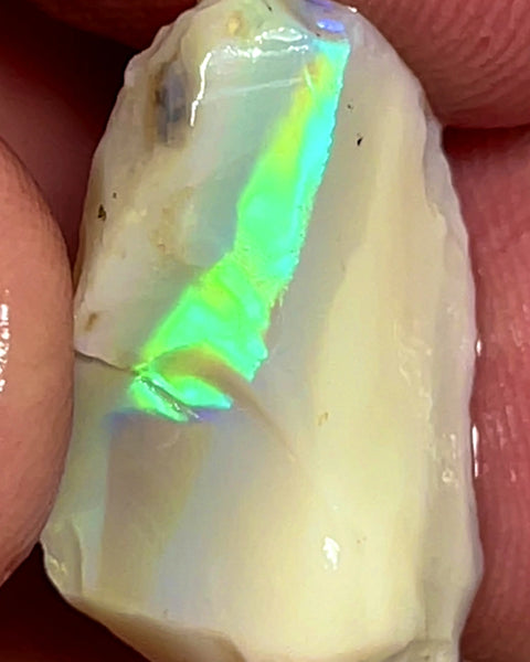 Lightning Ridge Rough Opal 9.5cts Cutters Stunning Light Base High Grade Vivid Bright Multifires  20.000 x 14.000 x 5.000 mm WAE48