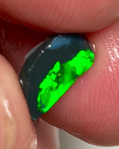 Lightning Ridge Opal Miners Bench® Black Base Seam Rough Rub 1.175cts Vivid Bright Green fires 11x6x1.5mm NSW015