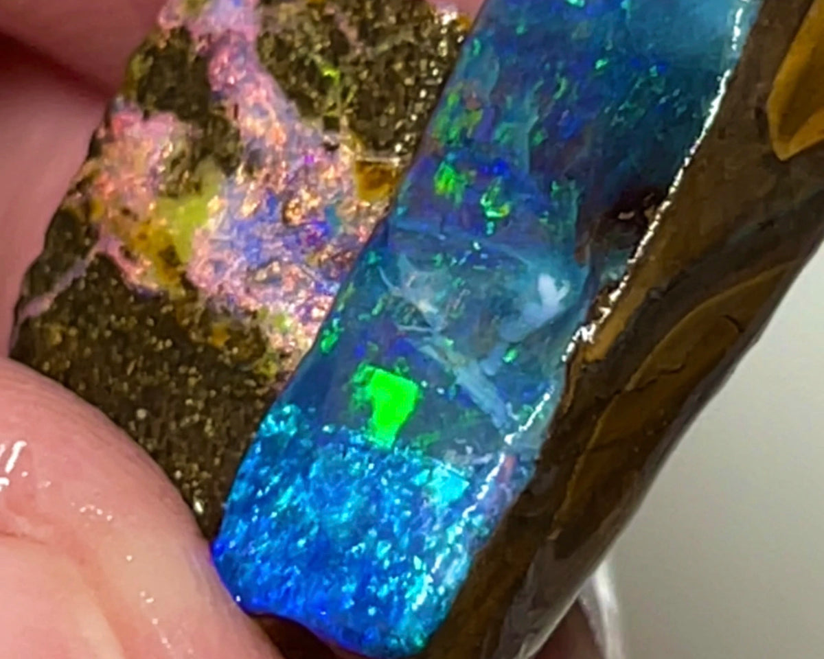 XMAS THANK YOU AUCTION2 Stunning Gemmy Winton Boulder Opal 20cts Rough rubs Bright & Vibrant fires 20x7x5mm to 14x8x4mm NSA009