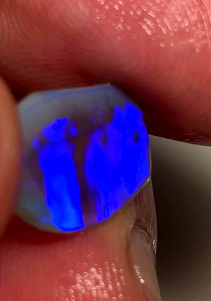 Lightning Ridge Rough / Rub /Preform Dark Base Crystal Knobby opal Miners Bench® 4cts Clean Gorgeous Bright Blues 16x11x3mm WAC35