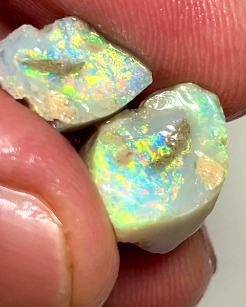 Lightning Ridge Rough Opal 10cts Gem Bright Dark Knobby Split with Amazing bars with Bright Vibrant Multifires 14x11x7 & 12x9x4 mm WAE28