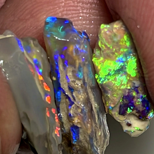 Lightning Ridge Rough Opal 12cts Stunning Stack of Dark base Nice Gamble rough to cut Gorgeous Bright Multicolours 17x11x4 to 15x6x3mm WAE59