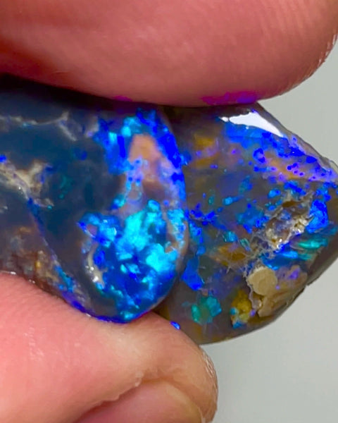 Lightning Ridge Rough / Rubs pair Blue on Black opal Miners Bench® 18cts Gorgeous Blue dominant Fires 17x16x5mm & 15x13x4mm NSA010