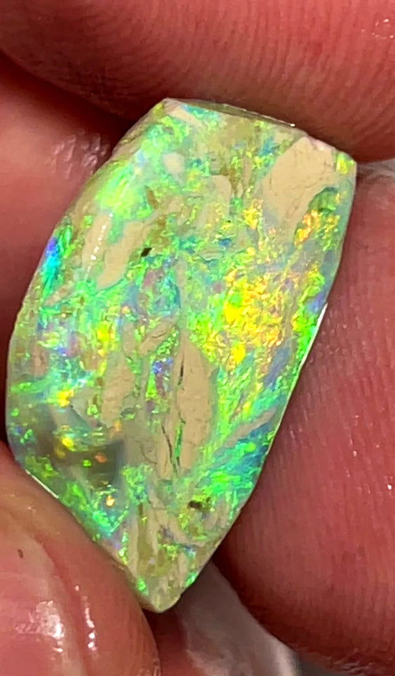 Opal Fever Mate Auction