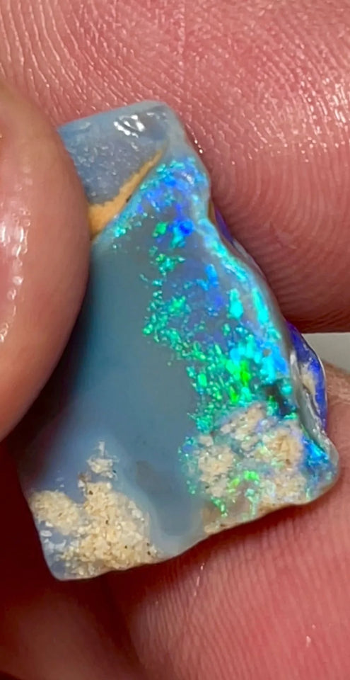 Opal Fever Mate Auction