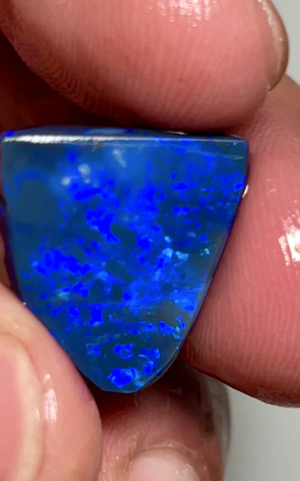 NEW YEARS DAY THNK U AUCTION1 Big Sized Blue on Black Opal Rub Rough 10cts L/Ridge Full of gorgeous fires 17x12x3mm SKU#0270