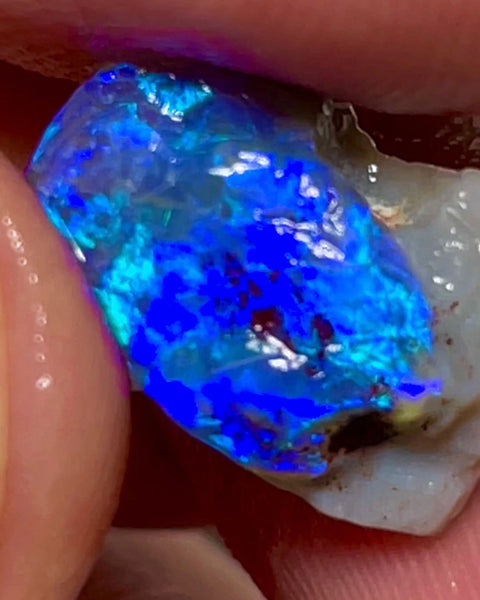 Lightning Ridge Black Knobby opal rough 7.50cts Very Bright blues to cut 16x10x9 mm NSW082