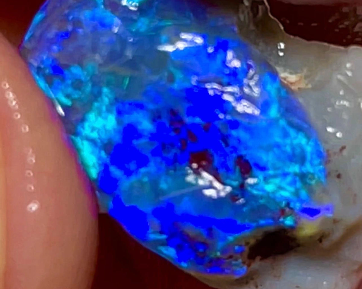 Lightning Ridge Black Knobby opal rough 7.50cts Very Bright blues to cut 16x10x9 mm NSW082