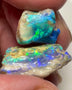 Lightning Ridge Gorgeous knobby opal rough Pair 22.50cts Gorgeous Bright Greens & Blues dominant  to cut 20x15x10mm & 12x10x8mm NSW096