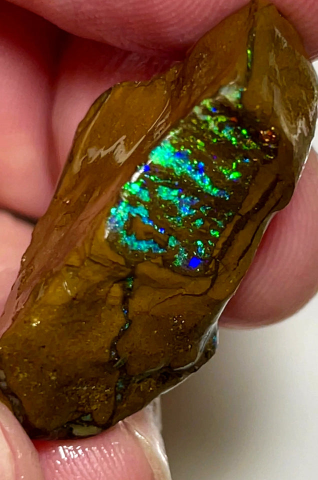 Queensland Boulder Matrix opal 43cts rub / rough Winton Exotic Bright & Gorgeous Multifires 30x17x12mm WAD55