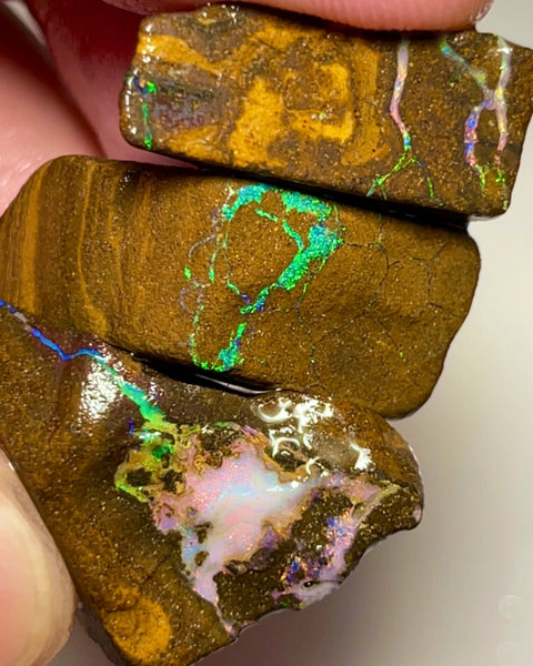 Bling Bling Boulder opal 126cts rough Nice Sized Exotic Gem Winton Bright & Gorgeous Reds &  Multifires 25x17x11mm 22x11x9mm AUCTION NSA011